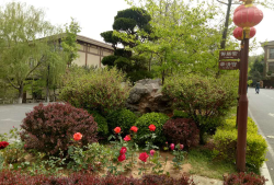 大連唐風溫泉園林景觀工程