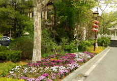 大連唐風溫泉園林景觀工程