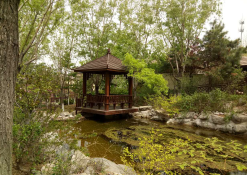 大連唐風溫泉園林景觀工程