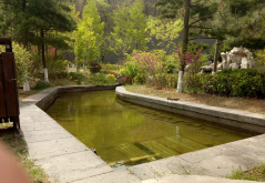 大連唐風溫泉園林景觀工程