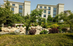 大連國(guó)際商務(wù)城A區(qū)景觀綠化工程