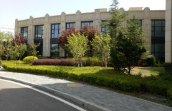 大連國際商務(wù)城A區(qū)景觀綠化工程