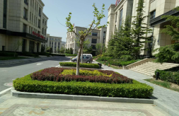大連國際商務(wù)城A區(qū)景觀綠化工程