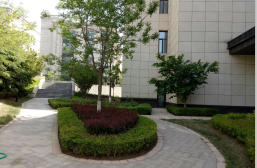 大連國際商務(wù)城A區(qū)景觀綠化工程