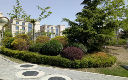 大連國際商務(wù)城A區(qū)景觀綠化工程