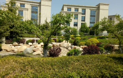 大連國際商務(wù)城A區(qū)景觀綠化工程