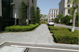 大連國際商務(wù)城A區(qū)景觀綠化工程